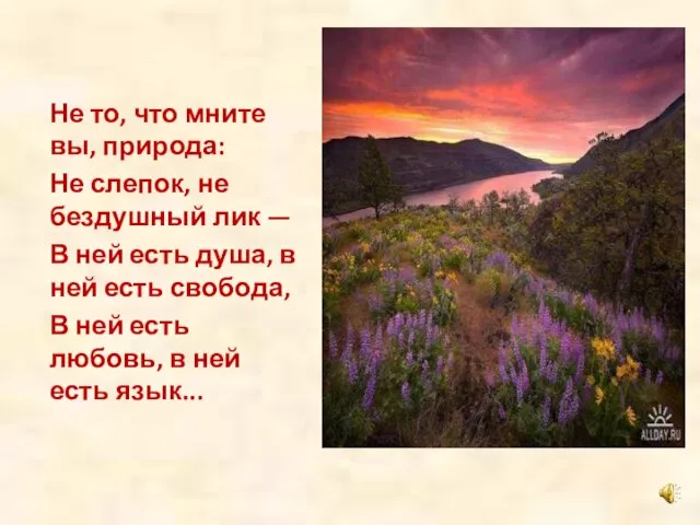 Не то, что мните вы, природа: Не слепок, не бездушный лик