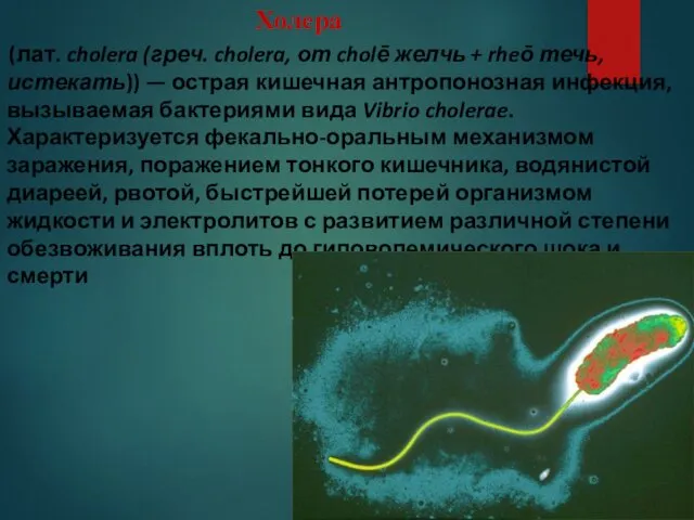 (лат. cholera (греч. cholera, от cholē желчь + rheō течь, истекать))