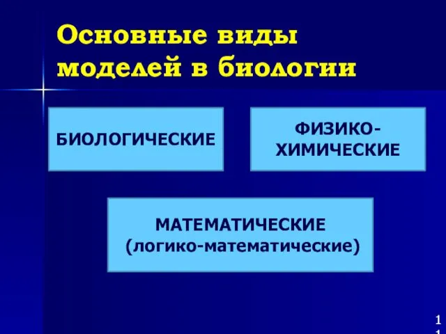 Основные виды моделей в биологии БИОЛОГИЧЕСКИЕ МАТЕМАТИЧЕСКИЕ (логико-математические) ФИЗИКО-ХИМИЧЕСКИЕ