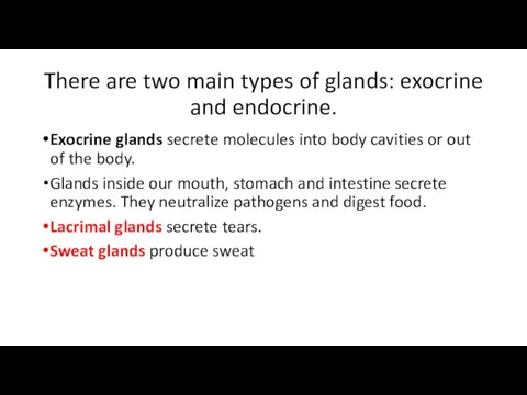 There are two main types of glands: exocrine and endocrine. Exocrine