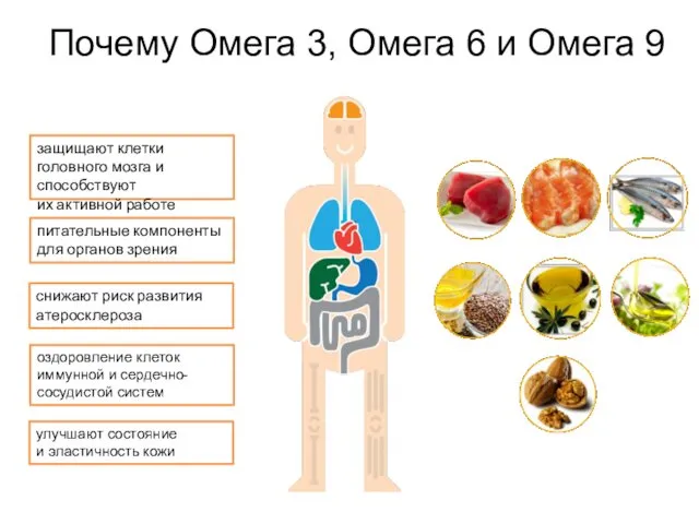 Почему Омега 3, Омега 6 и Омега 9 защищают клетки головного