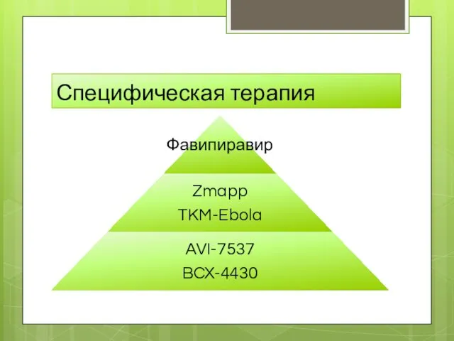 Специфическая терапия