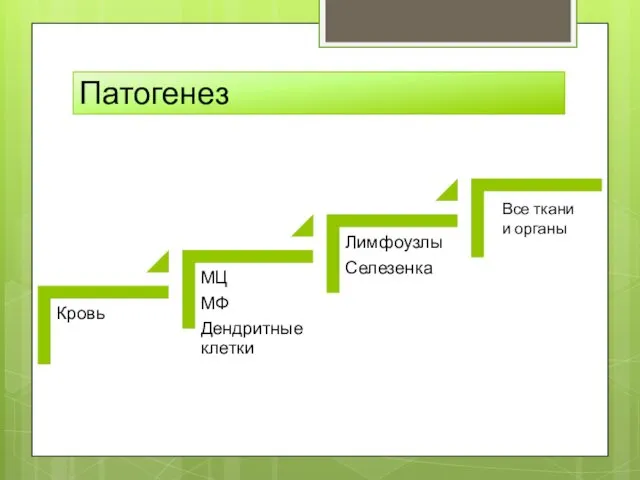 Патогенез Все ткани и органы