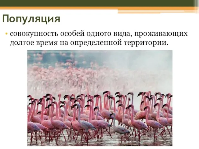 Популяция совокупность особей одного вида, проживающих долгое время на определенной территории.