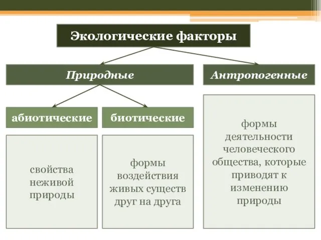 Природные Экологические факторы Антропогенные биотические абиотические свойства неживой природы формы воздействия