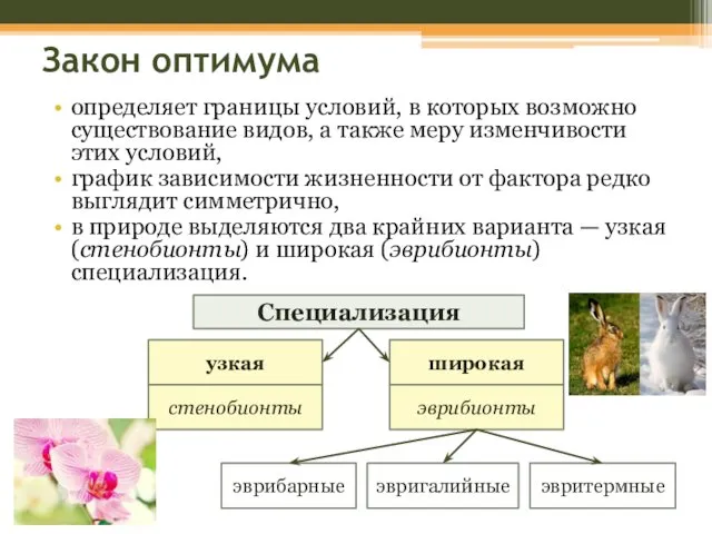 Закон оптимума определяет границы условий, в которых возможно существование видов, а