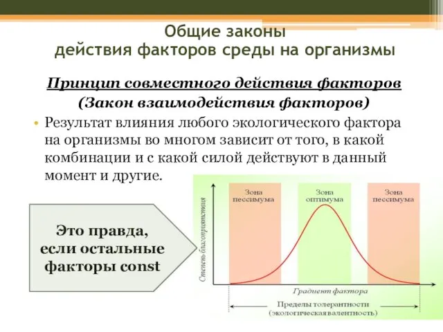 Принцип совместного действия факторов (Закон взаимодействия факторов) Результат влияния любого экологического