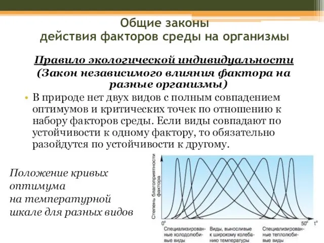 Правило экологической индивидуальности (Закон независимого влияния фактора на разные организмы) В