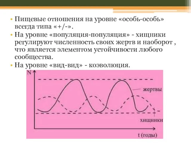 Пищевые отношения на уровне «особь-особь» всегда типа «+/-». На уровне «популяция-популяция»