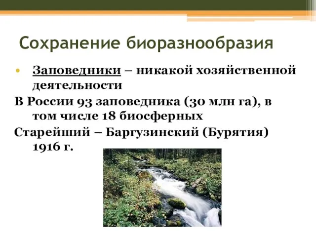 Сохранение биоразнообразия Заповедники – никакой хозяйственной деятельности В России 93 заповедника