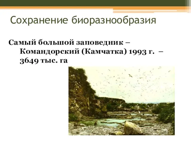 Сохранение биоразнообразия Самый большой заповедник – Командорский (Камчатка) 1993 г. – 3649 тыс. га