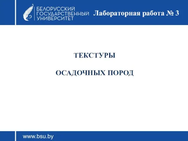 ТЕКСТУРЫ ОСАДОЧНЫХ ПОРОД Лабораторная работа № 3