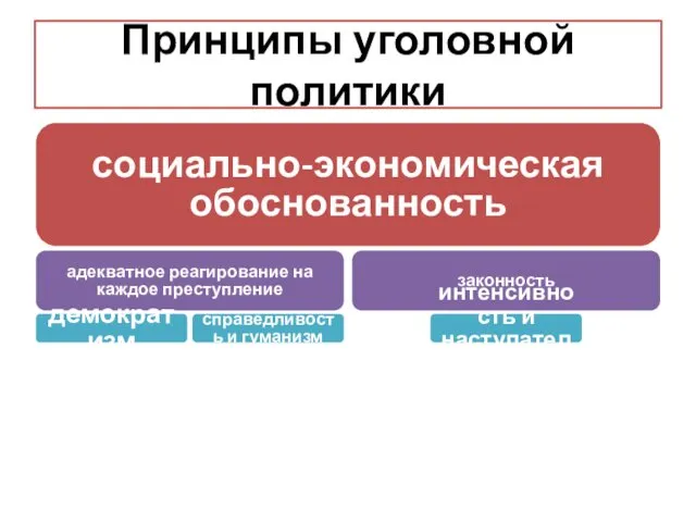 Принципы уголовной политики социально-экономическая обоснованность адекватное реагирование на каждое преступление демократизм