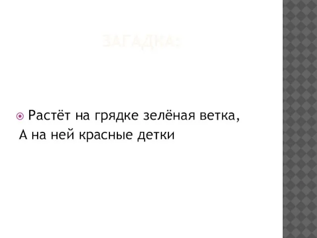 ЗАГАДКА: Растёт на грядке зелёная ветка, А на ней красные детки