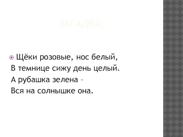 ЗАГАДКА: Щёки розовые, нос белый, В темнице сижу день целый. А