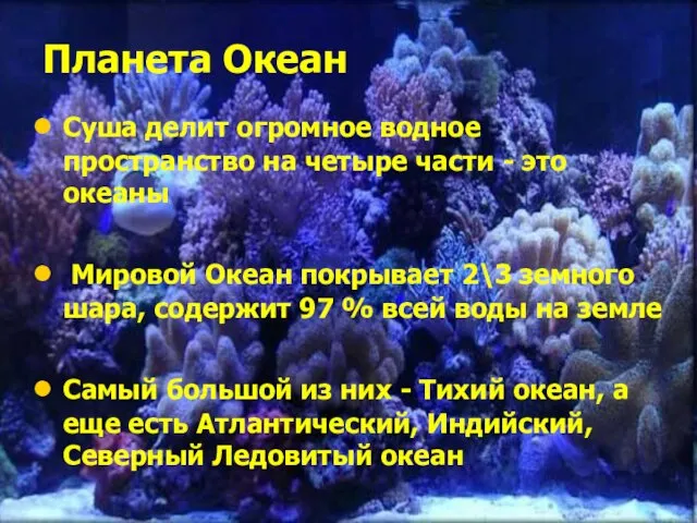 Планета Океан Суша делит огромное водное пространство на четыре части -