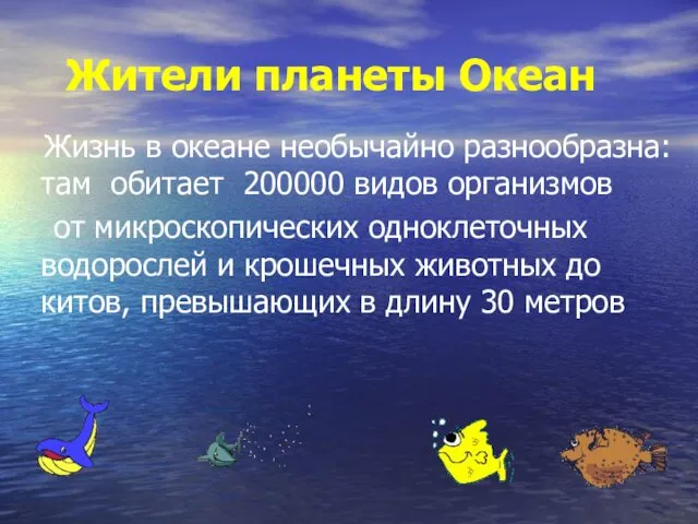 Жители планеты Океан Жизнь в океане необычайно разнообразна: там обитает 200000