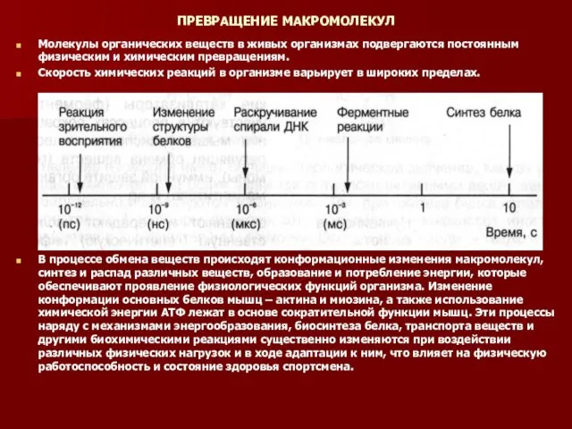 ПРЕВРАЩЕНИЕ МАКРОМОЛЕКУЛ Молекулы органических веществ в живых организмах подвергаются постоянным физическим