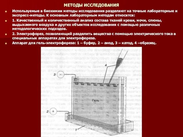 МЕТОДЫ ИССЛЕДОВАНИЯ Используемые в биохимии методы исследования разделяют на точные лабораторные