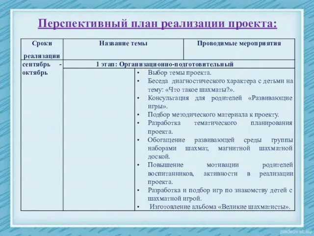 Перспективный план реализации проекта: