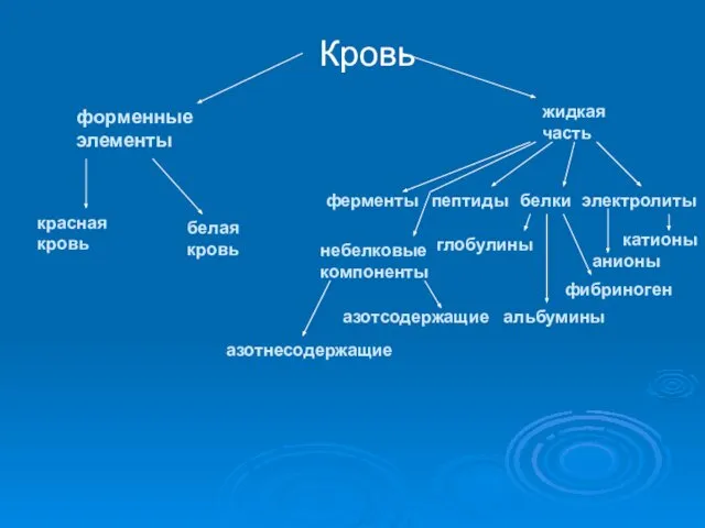 азотнесодержащие Кровь форменные элементы жидкая часть красная кровь белая кровь электролиты