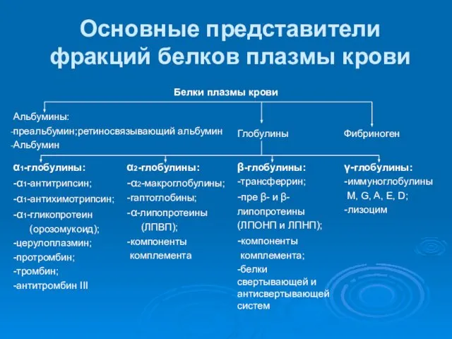 Основные представители фракций белков плазмы крови