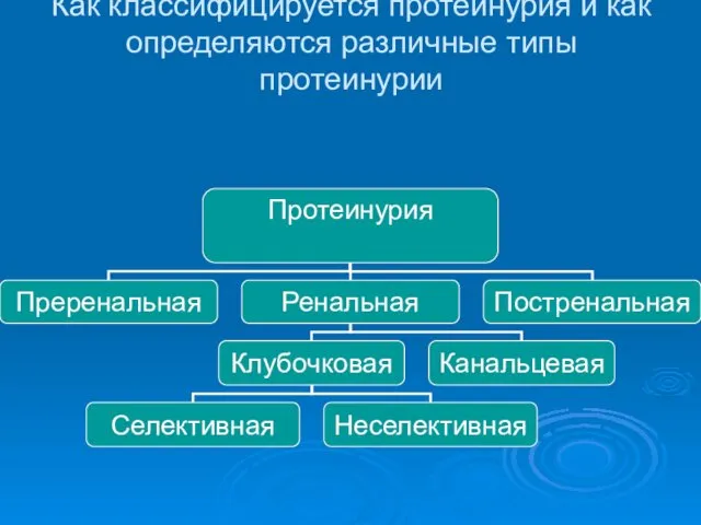 Как классифицируется протеинурия и как определяются различные типы протеинурии