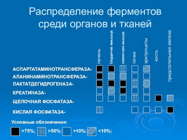 Распределение ферментов среди органов и тканей >75%; >50%; >10%; Условные обозначения: