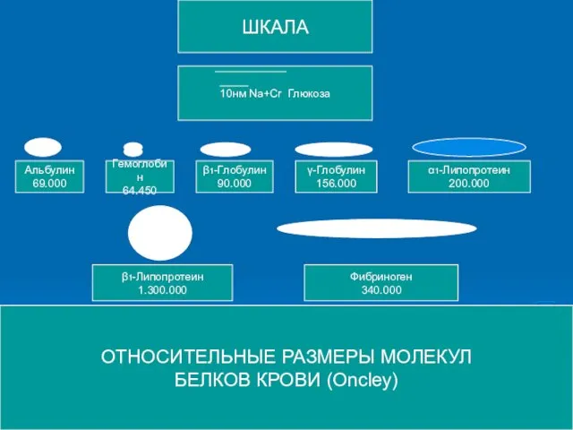 ШКАЛА 10нм Na+Cr Глюкоза Альбулин 69.000 Гемоглобин 64.450 β1-Глобулин 90.000 γ-Глобулин