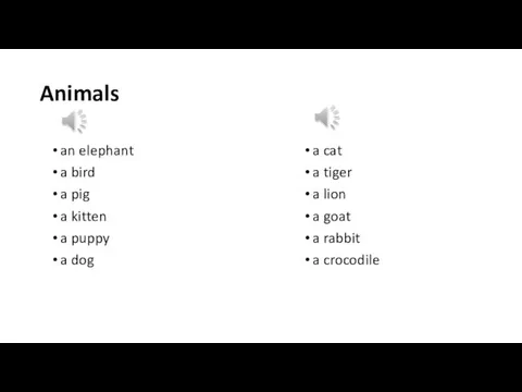 Animals an elephant a bird a pig a kitten a puppy