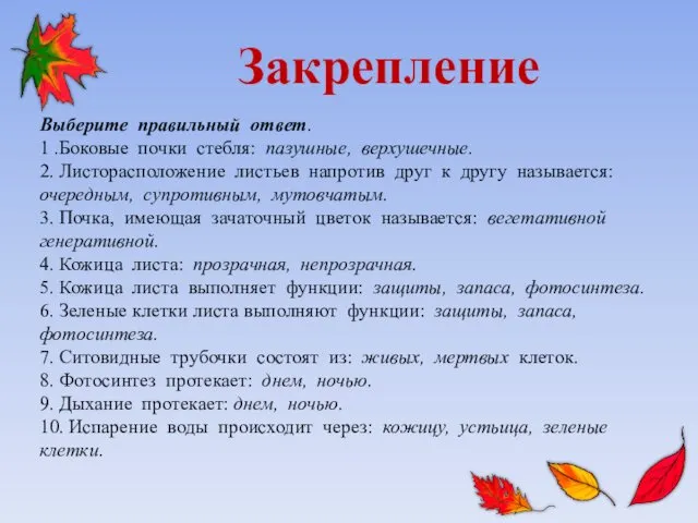 Закрепление Выберите правильный ответ. 1 .Боковые почки стебля: пазушные, верхушечные. 2.