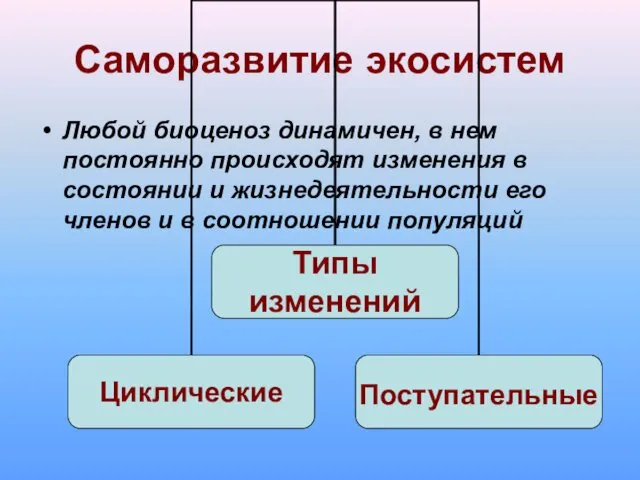 Саморазвитие экосистем Любой биоценоз динамичен, в нем постоянно происходят изменения в