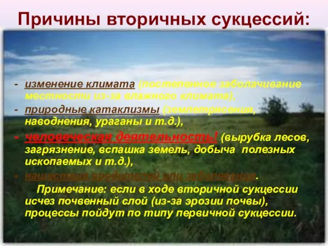 Причины вторичных сукцессий: изменение климата (постепенное заболачивание местности из-за влажного климата),