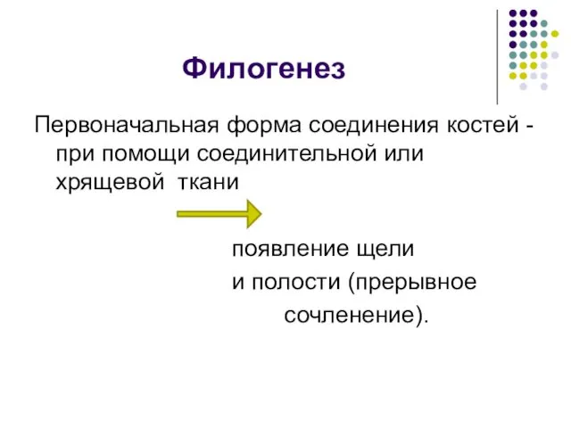 Филогенез Первоначальная форма соединения костей - при помощи соединительной или хрящевой