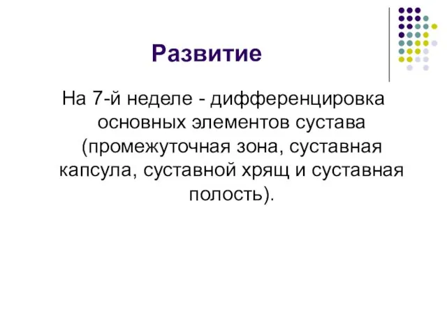 Развитие На 7-й неделе - дифференцировка основных элементов сустава (промежуточная зона,