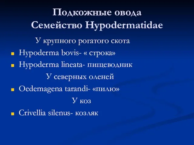 Подкожные овода Семейство Hypodermatidae У крупного рогатого скота Hypoderma bovis- «