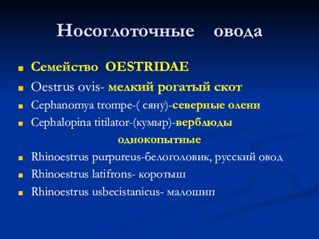 Носоглоточные овода Семейство OESTRIDAE Oestrus ovis- мелкий рогатый скот Cephanomya tromрe-(