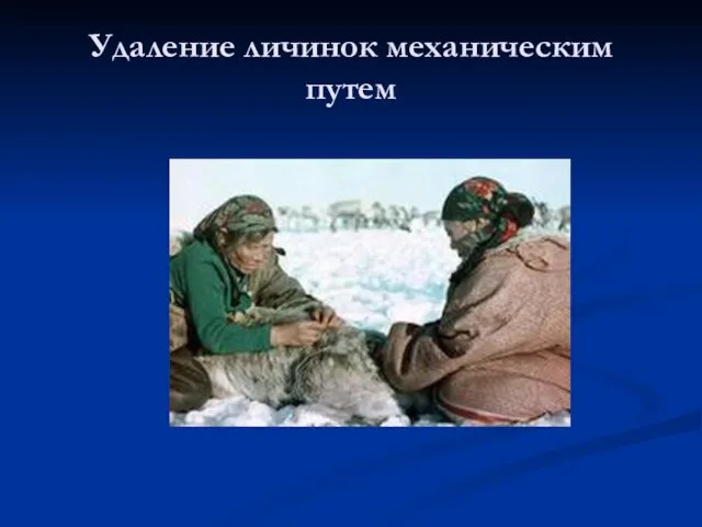 Удаление личинок механическим путем