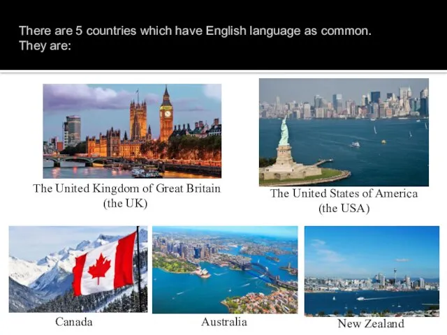 There are 5 countries which have English language as common. They