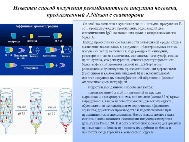 Известен способ получения рекомбинантного инсулина человека, предложенный J.Nilsson с соавторами Способ