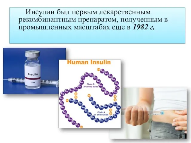 Инсулин был первым лекарственным рекомбинантным препаратом, полученным в промышленных масштабах еще в 1982 г.