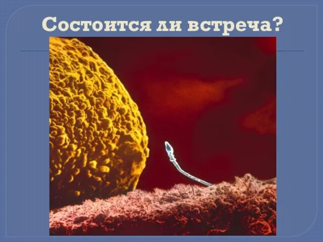 Состоится ли встреча?