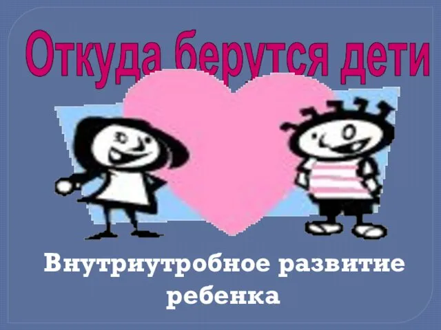 Откуда берутся дети Внутриутробное развитие ребенка