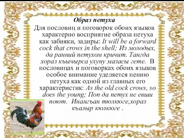 Образ петуха Для пословиц и поговорок обоих языков характерно восприятие образа