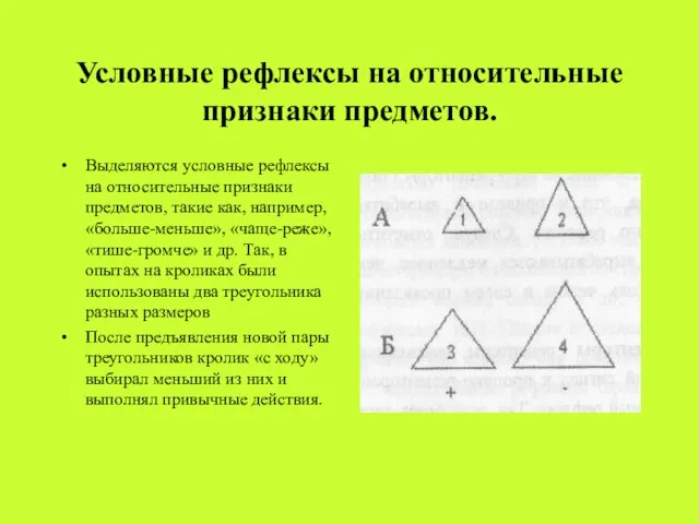 Условные рефлексы на относительные признаки предметов. Выделяются условные рефлексы на относительные