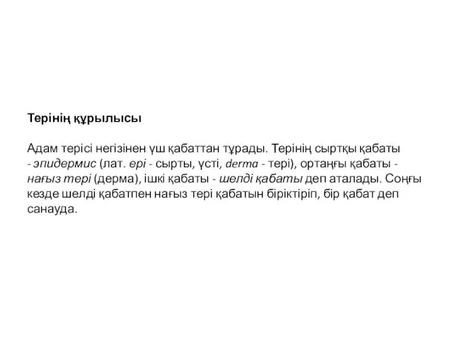 Терінің құрылысы Адам терісі негізінен үш қабаттан тұрады. Терінің сыртқы қабаты