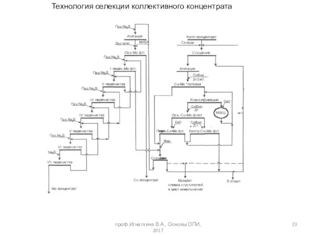 проф.Игнаткина В.А., Основы ОПИ, 2017 Технология селекции коллективного концентрата