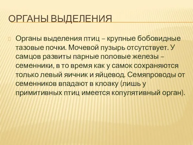 ОРГАНЫ ВЫДЕЛЕНИЯ Органы выделения птиц – крупные бобовидные тазовые почки. Мочевой