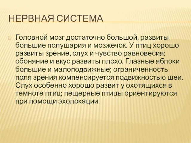 НЕРВНАЯ СИСТЕМА Головной мозг достаточно большой, развиты большие полушария и мозжечок.