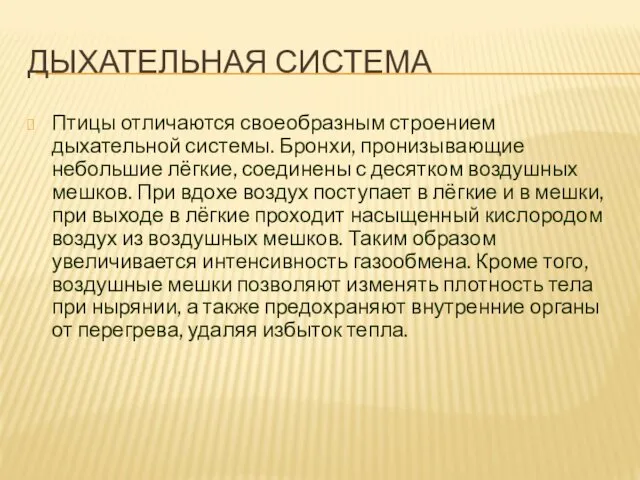 ДЫХАТЕЛЬНАЯ СИСТЕМА Птицы отличаются своеобразным строением дыхательной системы. Бронхи, пронизывающие небольшие